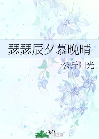 瑟瑟辰夕慕晚晴